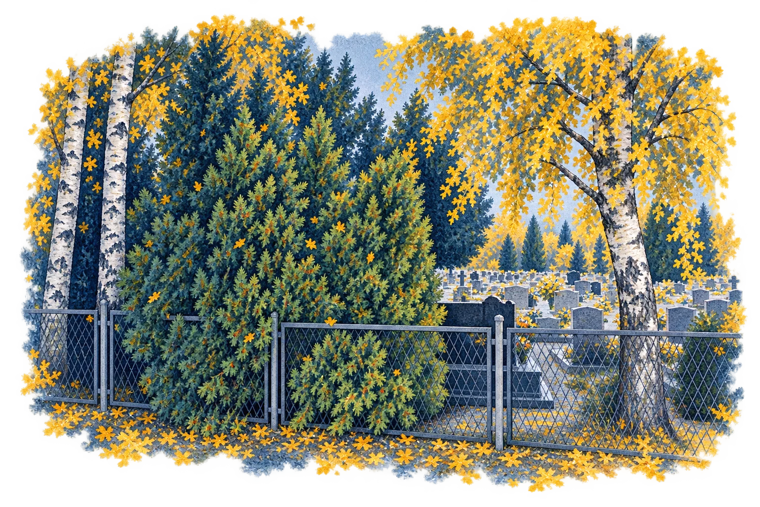 Cmentarz komunalny w Rogoźnicy - ilustracja